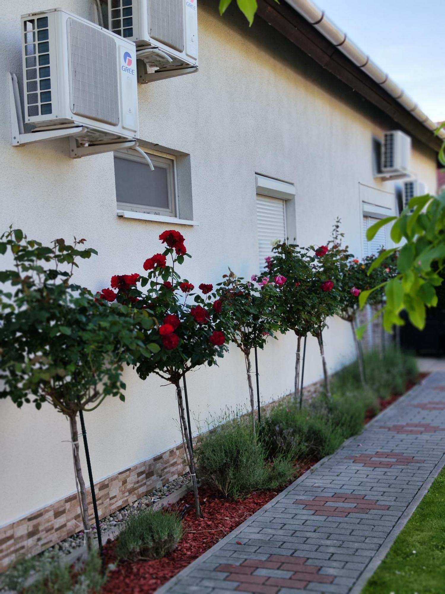 Havasi Vendeghaz Appartement Gyenesdiás Buitenkant foto