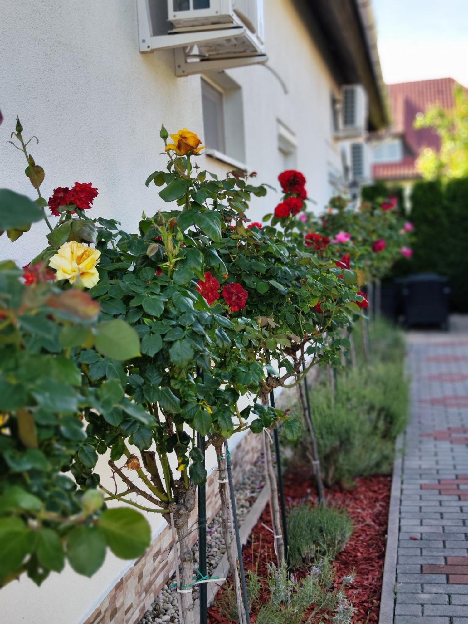 Havasi Vendeghaz Appartement Gyenesdiás Buitenkant foto